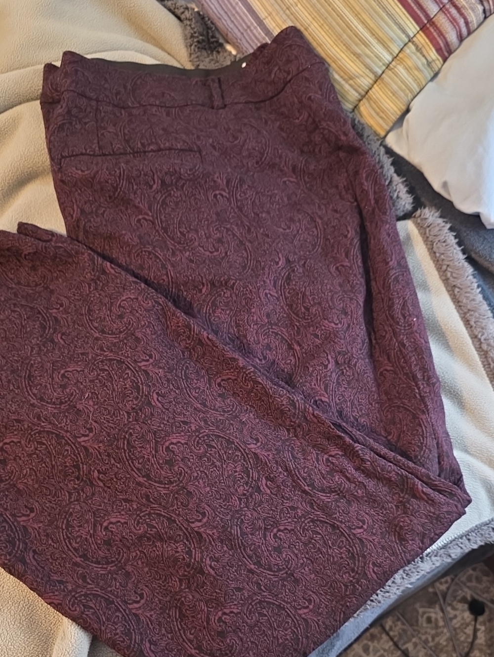 Lane Bryant Paisley Jacquard Pull-On Trousers in Plum